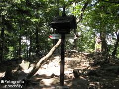 IMG_2591.jpg