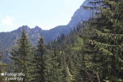 IMG_2996.jpg
