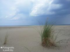 20120711_123255.jpg