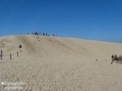 IMG_0991.jpg