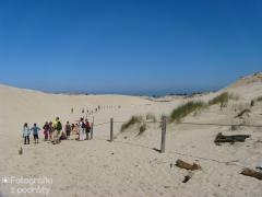 IMG_0993.jpg