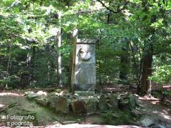 IMG_2641.jpg