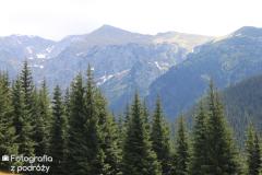IMG_3022.jpg