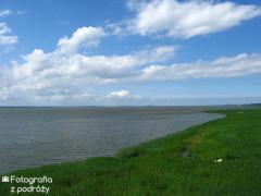 IMG_1032.jpg