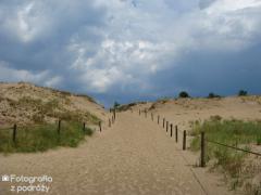 IMG_1118.jpg