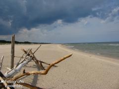 IMG_1123.jpg