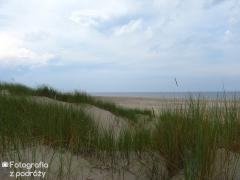 IMG_1135.jpg