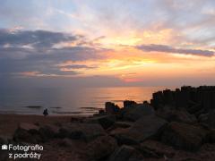 IMG_1169.jpg