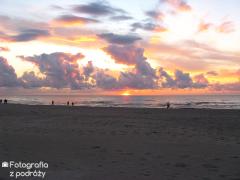 IMG_1202.jpg