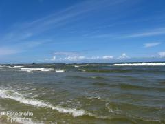 IMG_1214.jpg