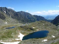 IMG_0005.jpg