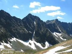 IMG_0015.jpg