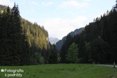 IMG_3063.jpg