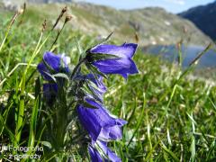 IMG_0090.jpg