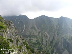 IMG_0207.jpg
