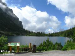 IMG_0243.jpg