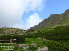 IMG_0279.jpg