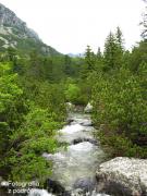 IMG_9835.jpg
