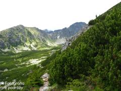 IMG_9885.jpg