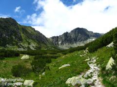 IMG_9889.jpg