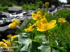 IMG_9897.jpg