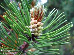 IMG_9914.jpg