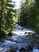 IMG_9927.jpg