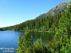 IMG_9931.jpg