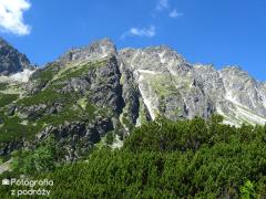 IMG_9937.jpg