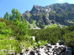 IMG_9939.jpg