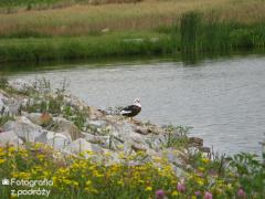 IMG_2788.jpg
