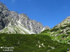 IMG_9943.jpg