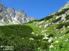 IMG_9946.jpg