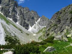 IMG_9951.jpg