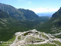 IMG_9959.jpg