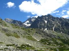 IMG_9964.jpg