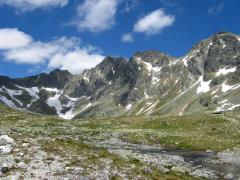IMG_9972.jpg