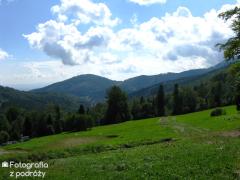 IMG_0331.jpg