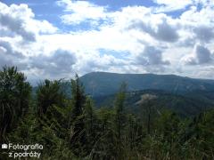 IMG_0339.jpg