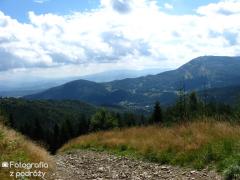 IMG_0341.jpg