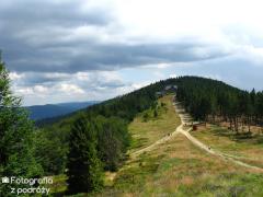 IMG_0351.jpg