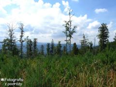 IMG_0365.jpg