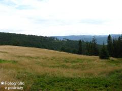 IMG_0383.jpg