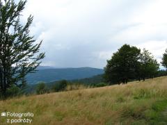 IMG_0388.jpg