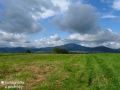 IMG_0398.jpg