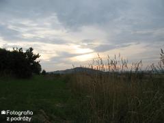 IMG_2977.jpg