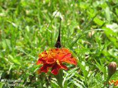 IMG_3000.jpg