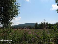IMG_3041.jpg