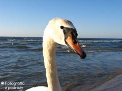 Ustka 2010