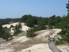 IMG_2664.jpg
